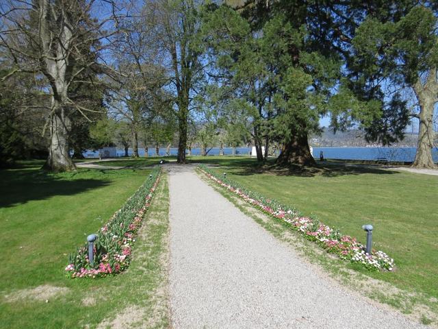 im sehr schönem Park der Schloss-Klinik in Mammern