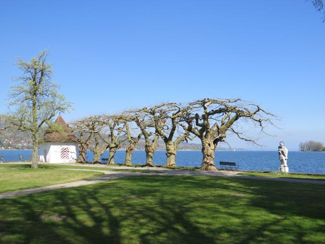 im sehr schönem Park der Schloss-Klinik in Mammern