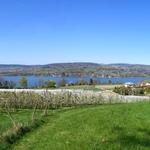 ...laufen mit einem schönem Panorama... (Breitbildfoto)