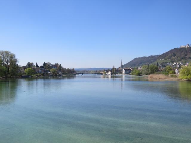 Blick vom Steg der die Insel mit dem Festland verbindet Richtung Stein am Rhein