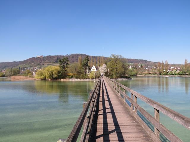 auf dem Steg mit Blick zur Insel Werd mit dem Klosergebäude