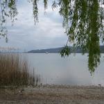 ...mit Blick auf den Untersee...