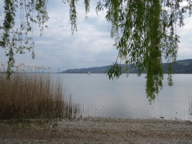 ...mit Blick auf den Untersee...