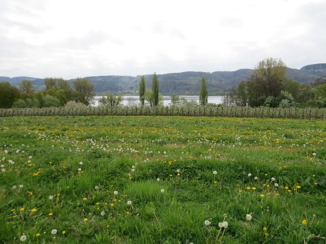 ...geht es über grüne Wiesen...