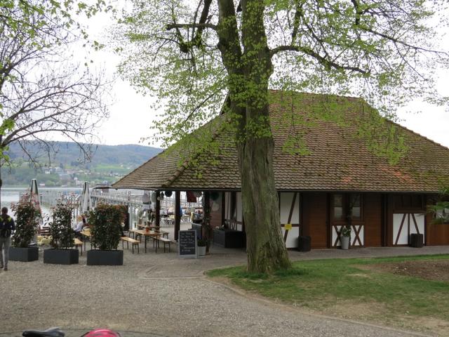 vorbei am Schloss von Gaienhofen, erreichen wir die Schiffsanlegestelle von Gaienhofen