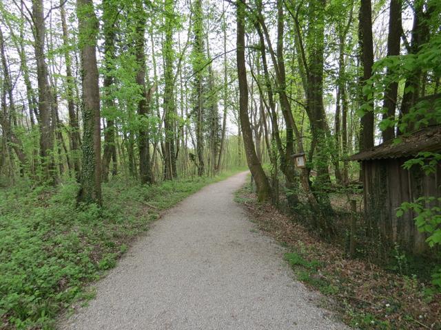 unser nächstes Ziel lautet nun Horn