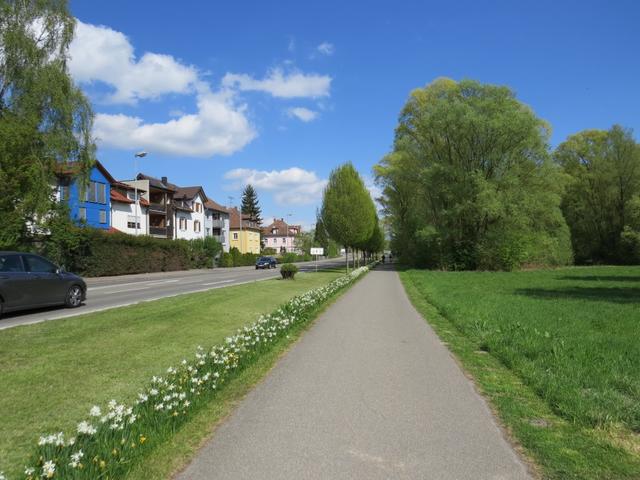 ...und laufen der Seepromeade von Radolfzell, Richtung Bahnhof