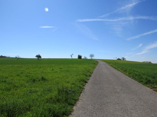 wir lassen Markelfingen hinter uns und laufen zu einer Anhöhe hinauf