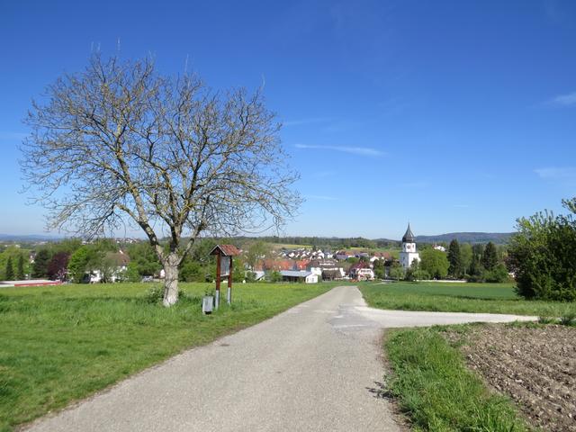 Blick zurück nach Markelfingen