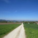 Blick über den Markelfinger Winkel nach Radolfszell