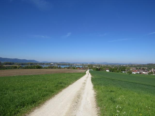 Blick über den Markelfinger Winkel nach Radolfszell