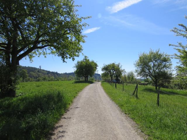 weiter geht unsere Wanderung