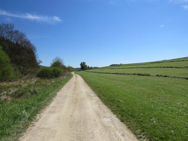 auf dem Weg nach Allensbach