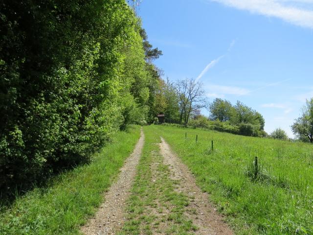 leicht aufwärts geht es zum Röhrenberg hinauf