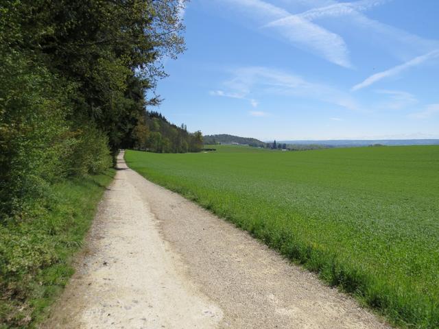 ...und Wiesen. Hier auf dem Panoramaweg, haben wir auf einer Bank die Mittagspause eingelegt