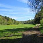 abwechslungsweise geht es weiter durch Wälder und Wiesen