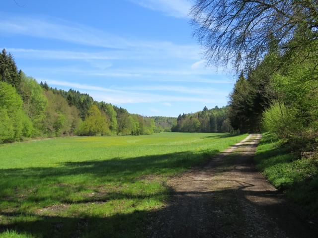 abwechslungsweise geht es weiter durch Wälder und Wiesen