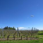 über unsere Köpfe schwebt ein Zeppelin vorbei. Am Horizont taucht der Bismarckturm auf