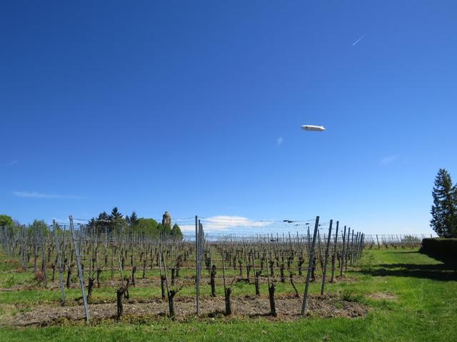 über unsere Köpfe schwebt ein Zeppelin vorbei. Am Horizont taucht der Bismarckturm auf