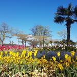 wir durchqueren den schönen Stadtpark...