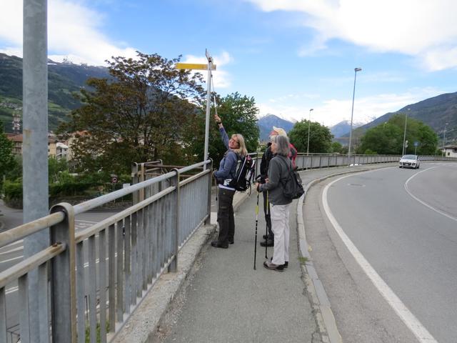 wir machen uns mit den Markierungen der Via Francigena vertraut