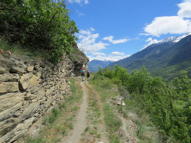 über den Weinwanderweg und mit sehr schöner Aussicht, geniessen wir das Pilgern