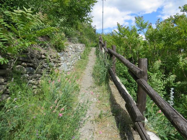 wir wandern nun unserem Tagesziel entgegen, und der heisst Châtillon