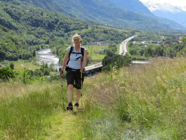 meine Maus findet die Via Francigena durch das Aostatal einfach super schön