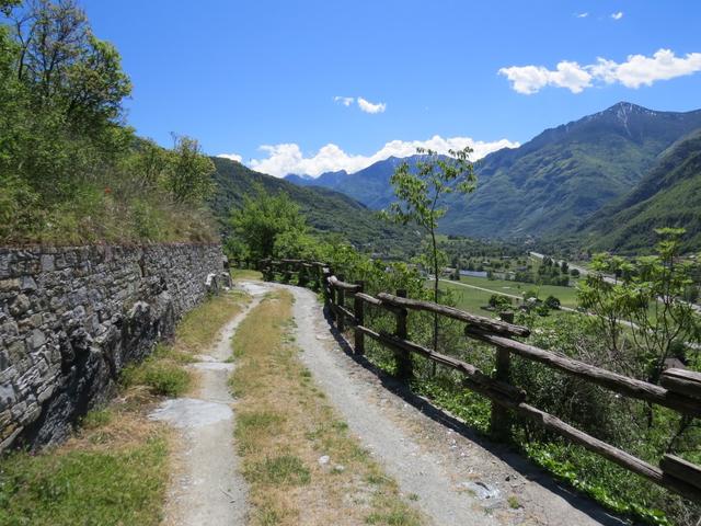 die Via Francigena führt uns nun auf der ehemaligen Konsularstrasse weiter, die noch aus der Römerzeit stammt