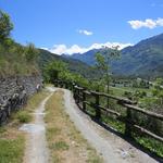 die Via Francigena führt uns nun auf der ehemaligen Konsularstrasse weiter, die noch aus der Römerzeit stammt