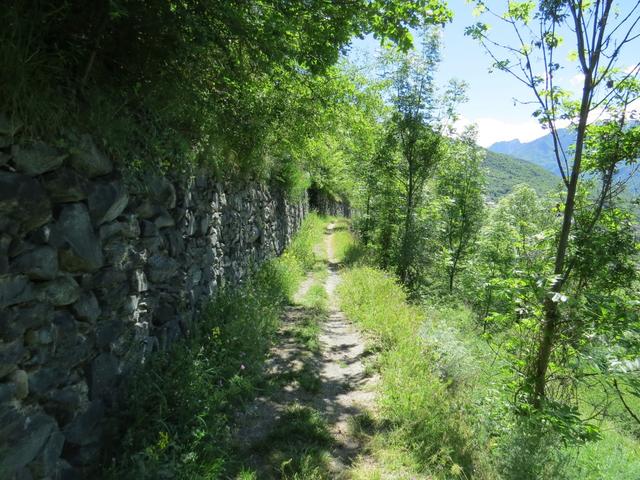 auch heute können wir sagen, die Via Francigena führt uns durch eine traumhafte Landschaft