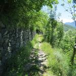 auch heute können wir sagen, die Via Francigena führt uns durch eine traumhafte Landschaft