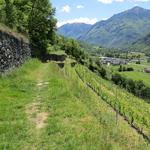 wir geniessen diesen historischen Abschnitt, der wunderschön am Hang entlang und an Weinbergen vorbeiführt