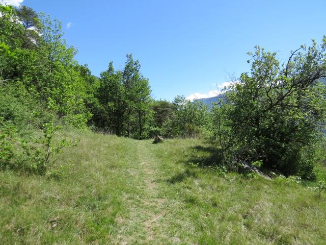 auf einem Grasweg endet der steile Aufstieg, und wir erreichen den höchsten Punkt