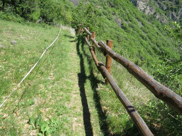 über einen sehr gut erstellten Bergweg, geht es auf der anderen Seite wieder abwärts