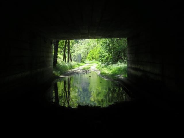 das unterqueren der Autobahn gestaltet sich wegen stehendem Wasser, als ein nicht so leichtes Unterfangen