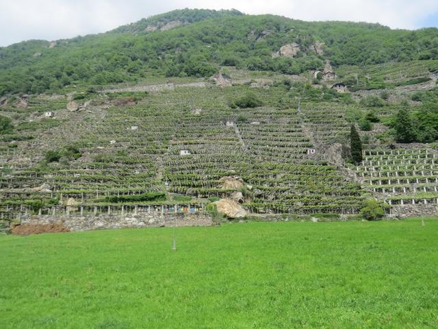 mit einem Blick auf die Weinberge von Donnas...