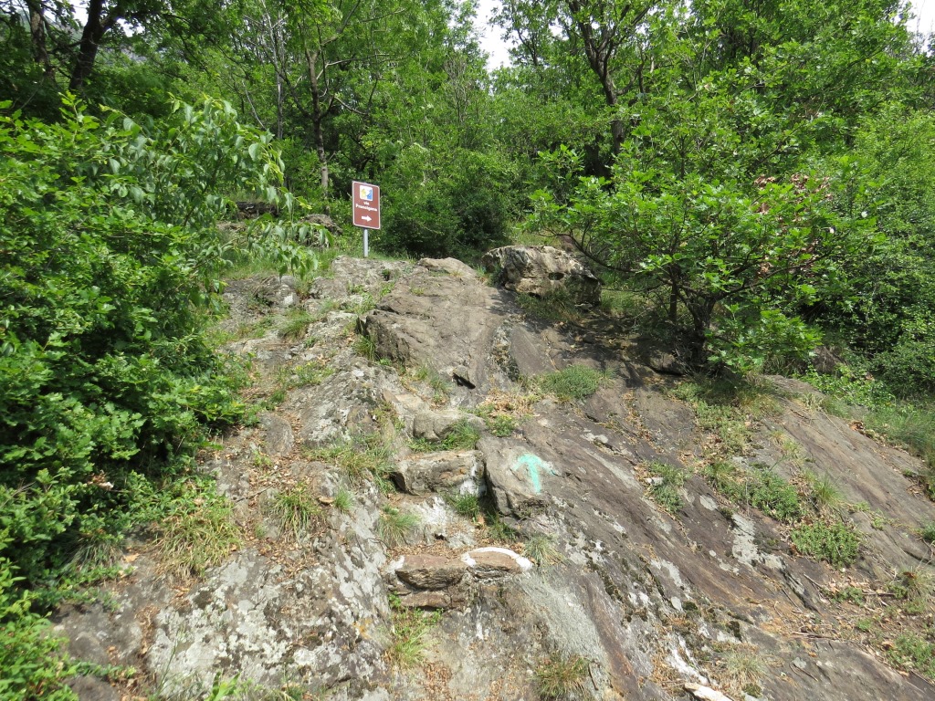 die Via Francigena führt uns nun durch Buschwerk und über rutschige Felsen aufwärts