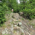 die Via Francigena führt uns nun durch Buschwerk und über rutschige Felsen aufwärts