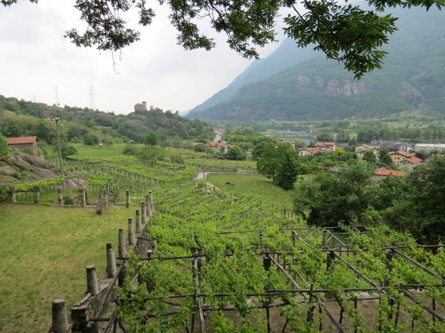 mit Blick auf den Castello von Montestrutto, nehmen wir das letzte Teilstück in Angriff