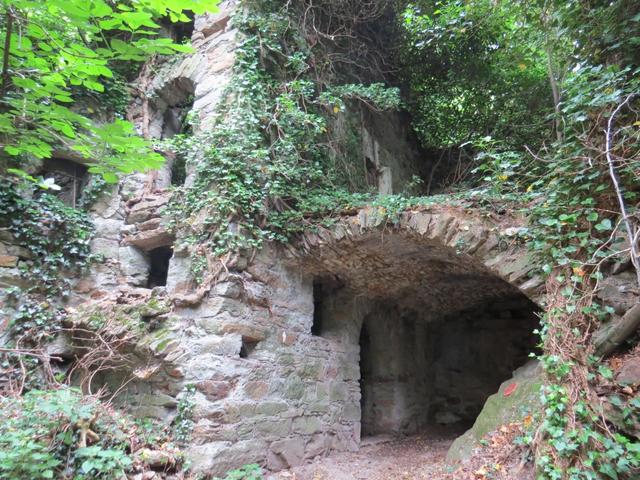 ...die von der Vegetation überwuchert werden. Der Weg führt hier wie durch einen Tunnel