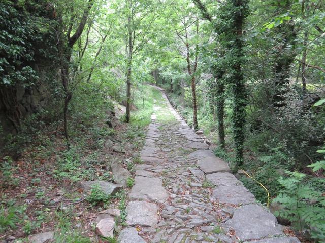 über eine alte Trasse die zum Schloss führte, führt uns der Weg nun abwärts,...