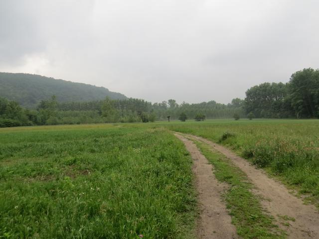 auf dem Weg nach Montalto Dora. Der Regen setzt ein