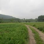 auf dem Weg nach Montalto Dora. Der Regen setzt ein