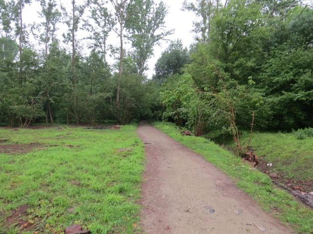 durch den Wald geht es aufwärts zum Lago Sirio, den wir wegen dem starken Regen und Bewölkung nicht sehen