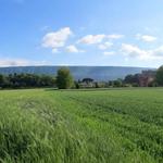 schönes Breitbildfoto. Kurz vor dem Lago di Campagna. Bei Breitbildfotos nach dem anklicken, immer noch auf Vollgrösse klicken