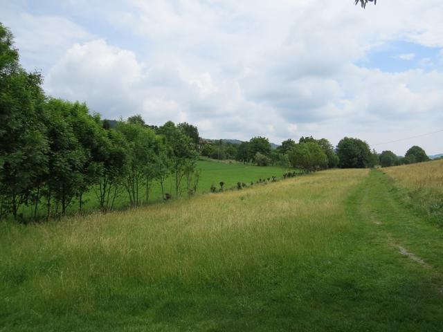 über einen Grasweg wandern wir weiter Richtung Viverone