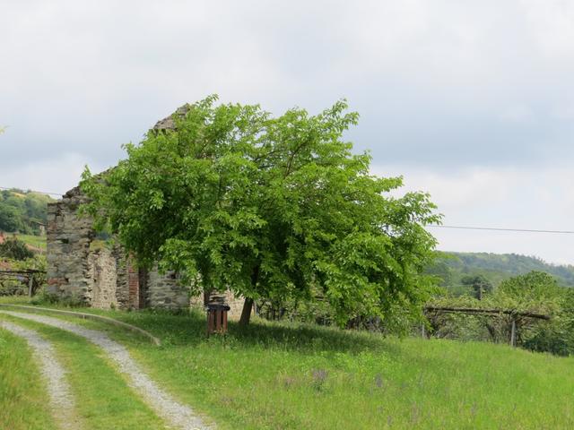 wir erreichen einen stimmungsvollen Platz mit den Überresten der kleinen romanischen Kirche Gesiun 11.Jhr.