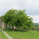 wir erreichen einen stimmungsvollen Platz mit den Überresten der kleinen romanischen Kirche Gesiun 11.Jhr.