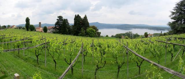 schönes Breitbildfoto mit Blick auf den Lago di Viverone